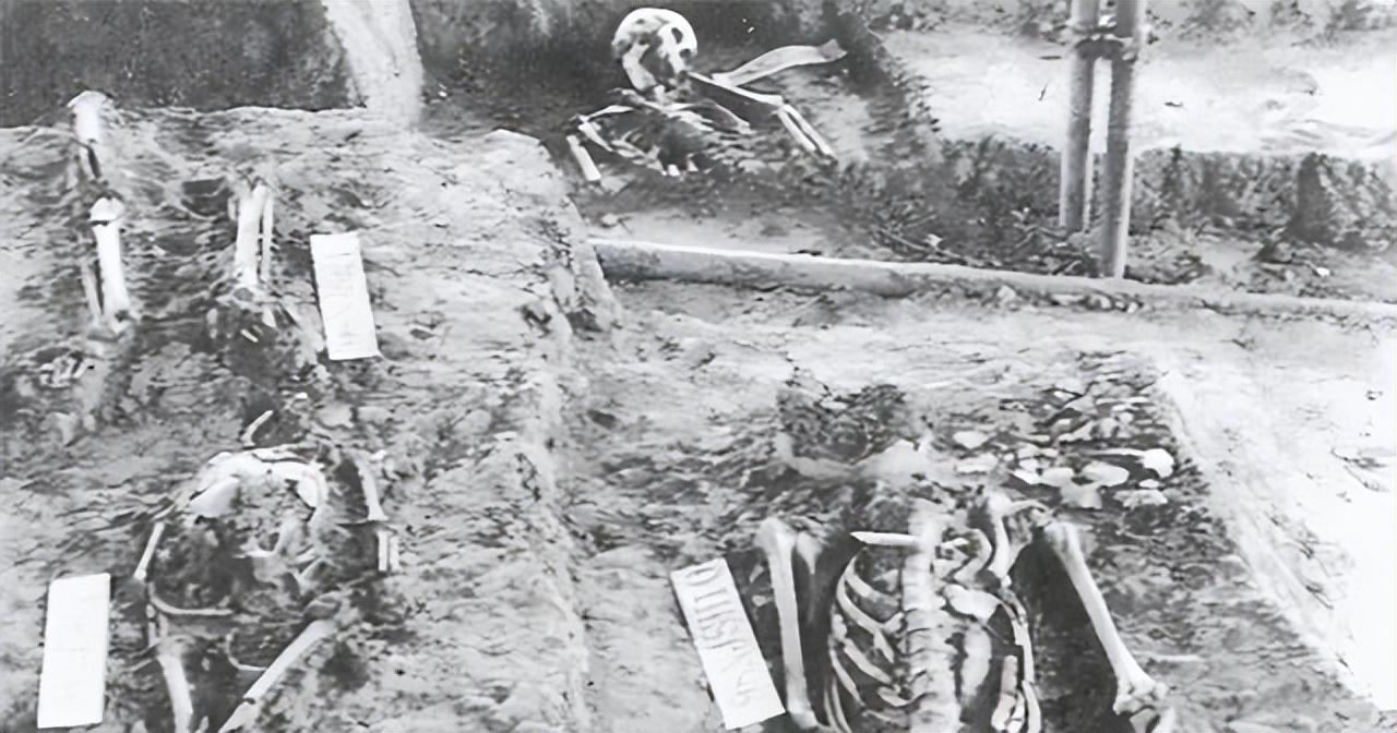 抚顺自然美景探索之旅，追寻内心的平和与喜悦